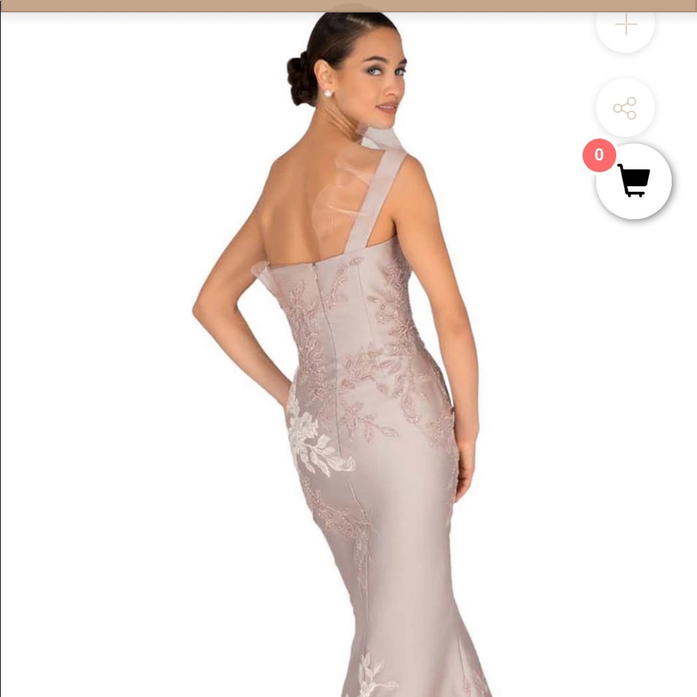 Terani Couture Champagne gown size 14